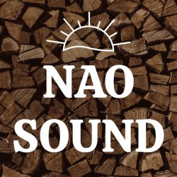 Nao Sound Velocity